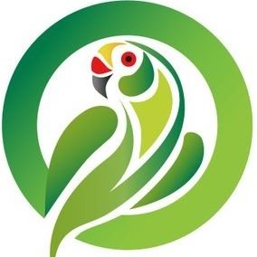 186553553 4156340191078594 8167035516995817107 n 1