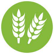 CS fruits and veges 1