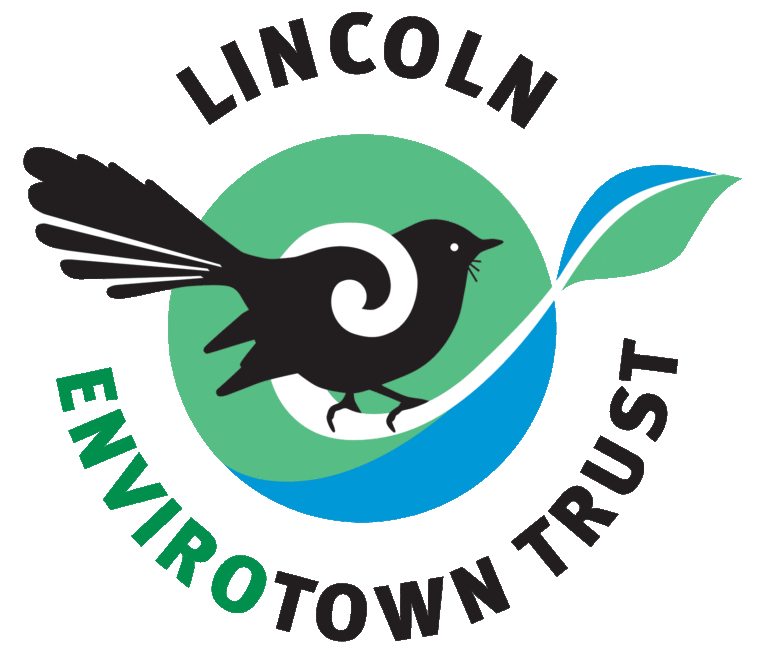 LETownTrust transparent 1 768x658