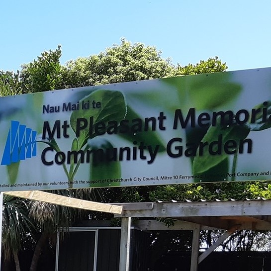 Mt Pleasant Community Garden 1