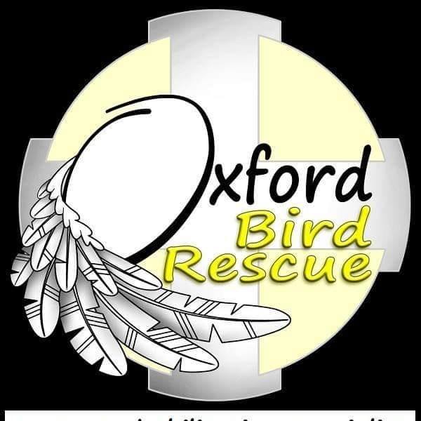 Oxford Bird Rescue 1