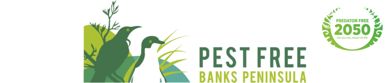 PFCT logo Landscape 2050 1 1 768x164