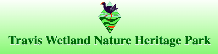 Screen Shot 2022 12 21 at 11.53.40 AM 2