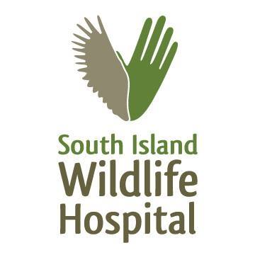 South Island Wildlife Hospital 1