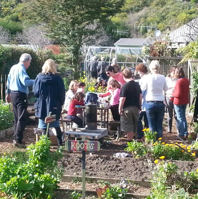 Sumner Van Asch community garden 1 768x769