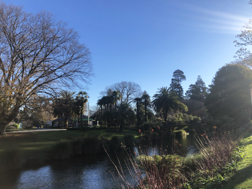 Scenic park view near the Christchurch Envirohub Botanic Garden Kiosk at Hagley Park.