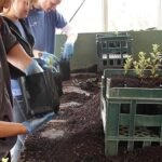 Trees for Canterbury