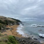 December 2024 Newsletter