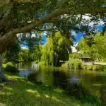 April 2024 Newsletter