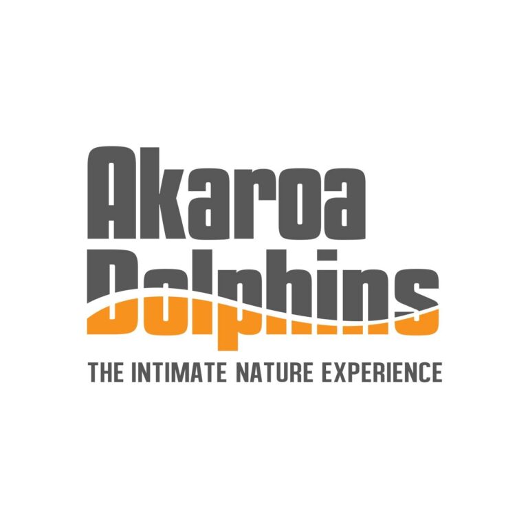 Akaroa dolphins 1 768x768