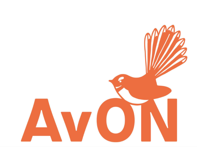 Screen Shot 2022 12 15 at 11.45.55 AM 768x576