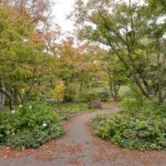 June 2025 Newsletter