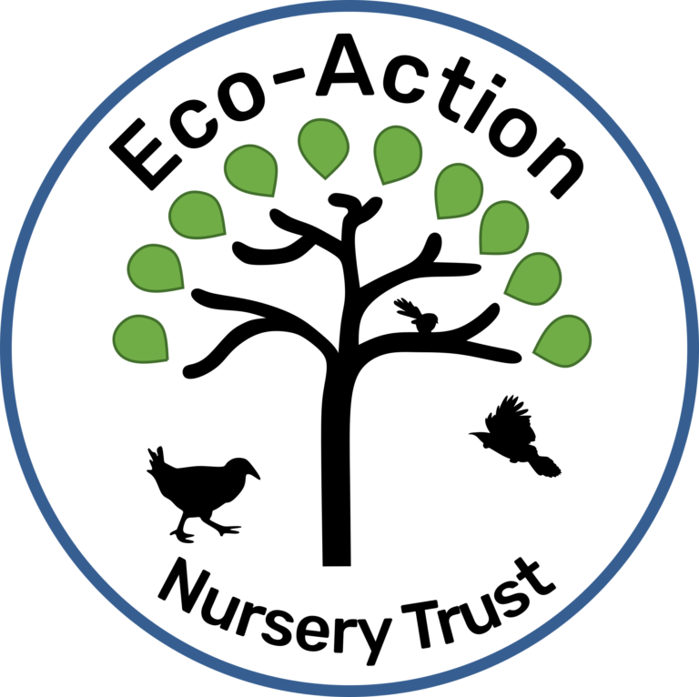 350136968 264815609435232 4298323980370087118 n 768x766