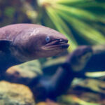 January 2025 Newsletter