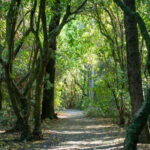 February 2025 Newsletter