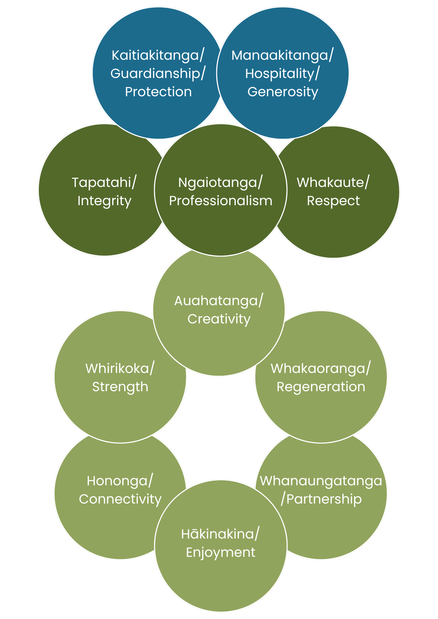 Environmental organization Christchurch