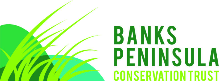 BPCT logo Landscape YellowGreen CMYK 768x287